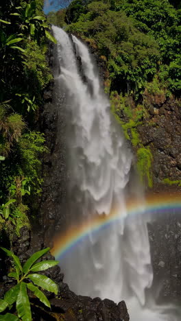 rainbow waterfall in a lush forest