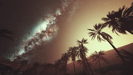 Starry-night-sky-against-with-coconut-palm-trees