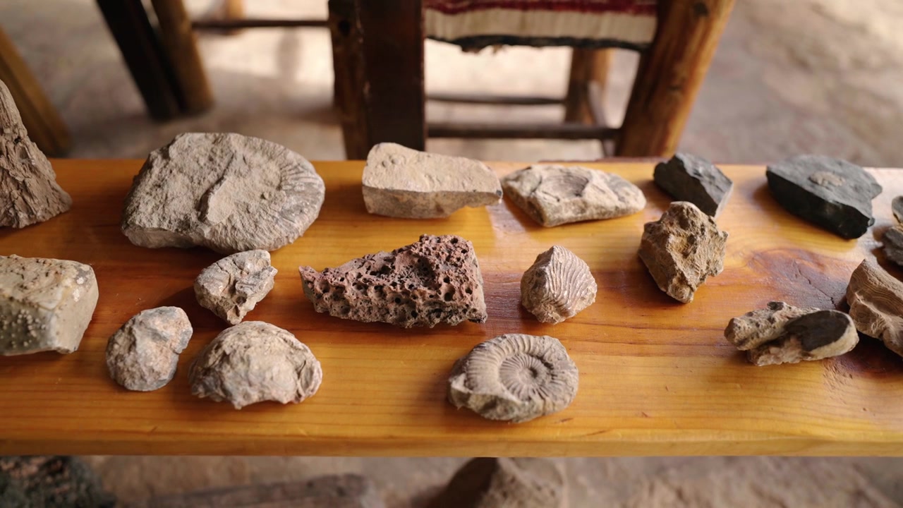 Rocce fossili assortite disposte su un tavolo di legno in un ambiente interno rustico.