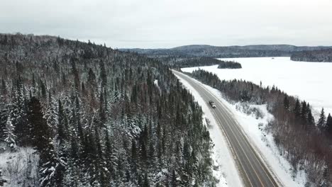 bosque de árboles helados blancos congelados en el norte de canadá - drone 4k aéreo junto a la carretera y el lago congelado