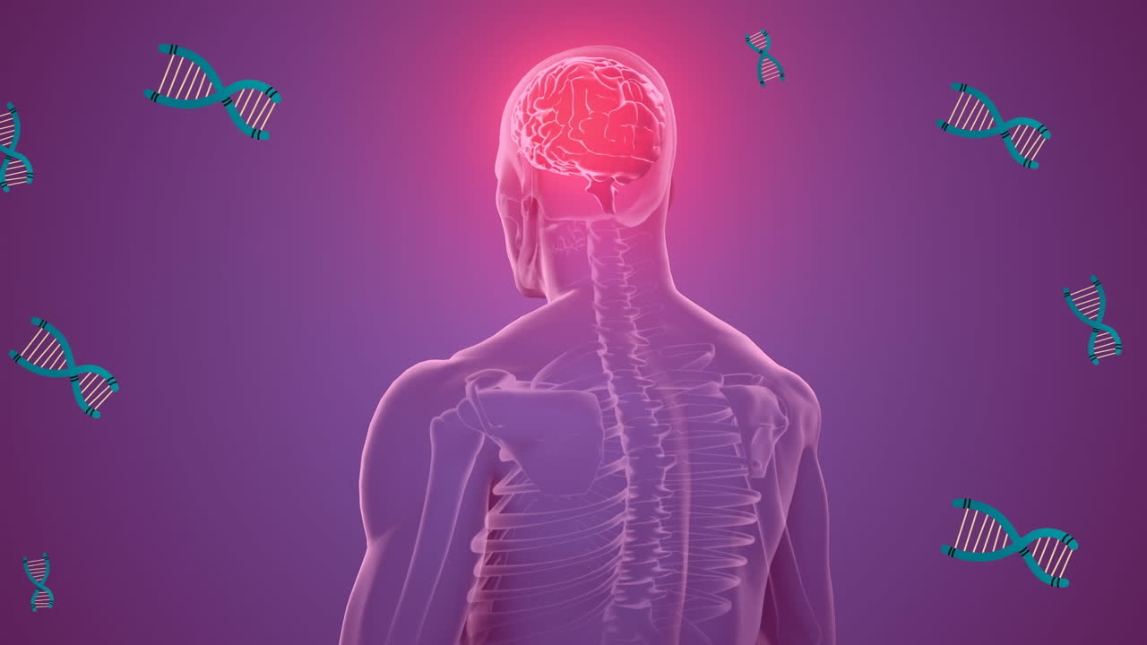 보라색 배경에 인간 모델 위에 dna의 애니메이션