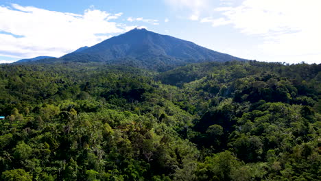 Stunning-Lush-Vegetation-On-Wilds-Of-West-Bali-National-Park-With-Mountain-Ranges-At-Background-In-Indonesia