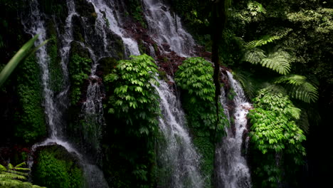 telephoto view of multiple streams cascading down leafy jungle cliff waterfall