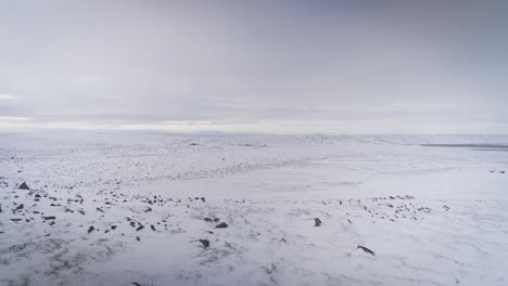 frozen barren arctic tundra with hills