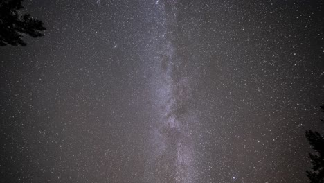 milky way in the shimmering night sky