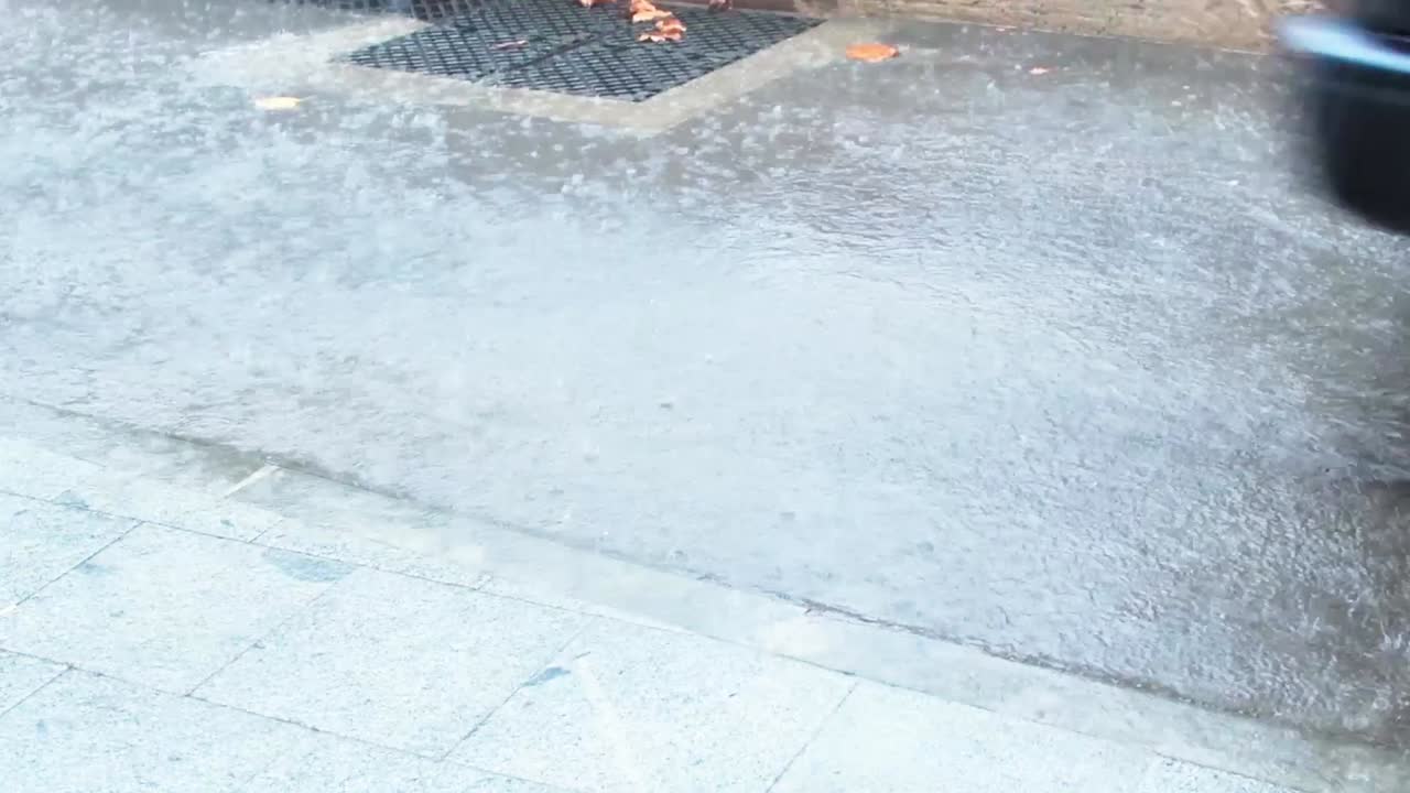 차가 지나가는 동안 거리의 아스팔트에 내리는 비