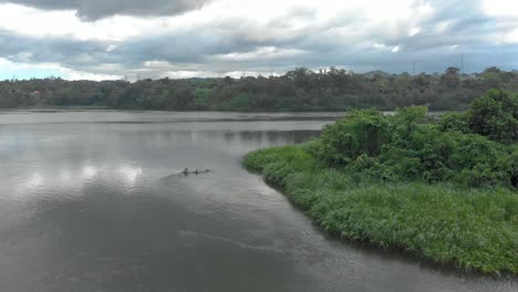 aerial shot flying over a grassy and swampy island in the middle of the river nile in east africa