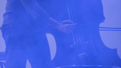 bass player at a concert, theater scene, doublebass, flat plane closeup