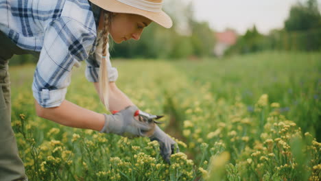 mujer jardinería en un campo de flores