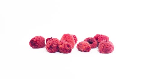 fresh red raspberry fruits drying out in white background