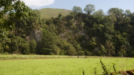 Mittlere-Aufnahme-Des-Verteilertals-Neben-Der-Wetton-Mill