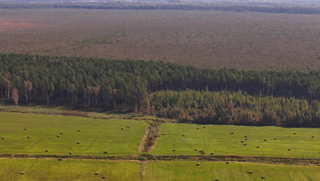 aerial drone rotation above the kurzeme region of latvia, an area made up of farms along the baltic sea coast of europe.