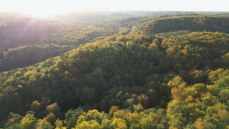 Schöner-Luftflug-über-Dichte-Goldene-Bäume,-Die-Während-Der-Herbstsaison-Auf-Hügeln-In-Der-Natur-Wachsen