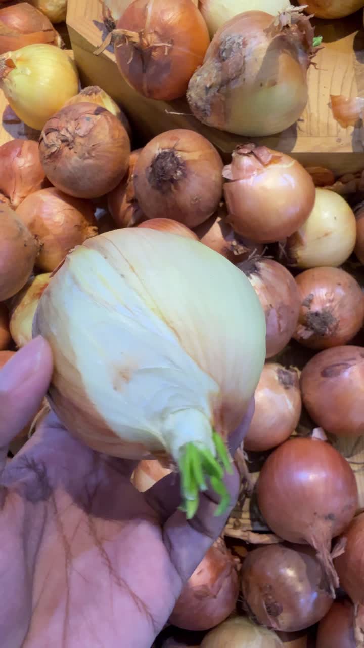 Mano che tiene una cipolla germogliata in un negozio di alimentari