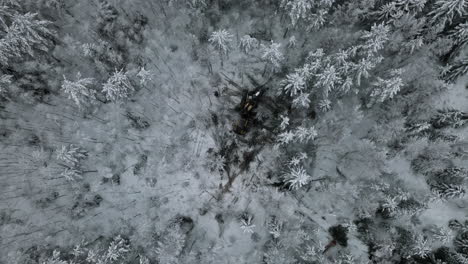 Máquina-Forestal-Talando-árboles-En-Bosques-Fríos-De-Invierno,-Antena-De-Arriba-Hacia-Abajo,-Siberia