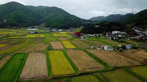 Campos-De-Arroz-De-Sake-En-Invierno-Japón