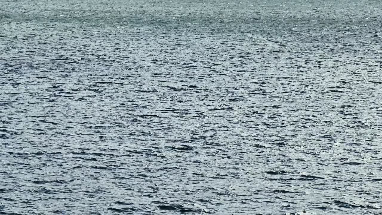 대조적인 빛 속에서 반이는 파동의 미세한 패턴.