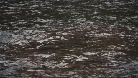 Fließendes-Flusswasser-An-Einem-Kalten-Herbsttag-In-Zeitlupe