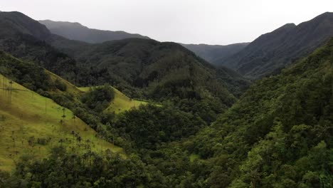 Beautiful-aerial-shot-of-the-Cocora-Valley-in-Quindío,-Colombia