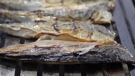 grilled fish on a grill