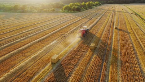 square bales on the yellow field. tractor is baling hay in summer. harvesting dried grass for livestock. aerial view. camera moves right.