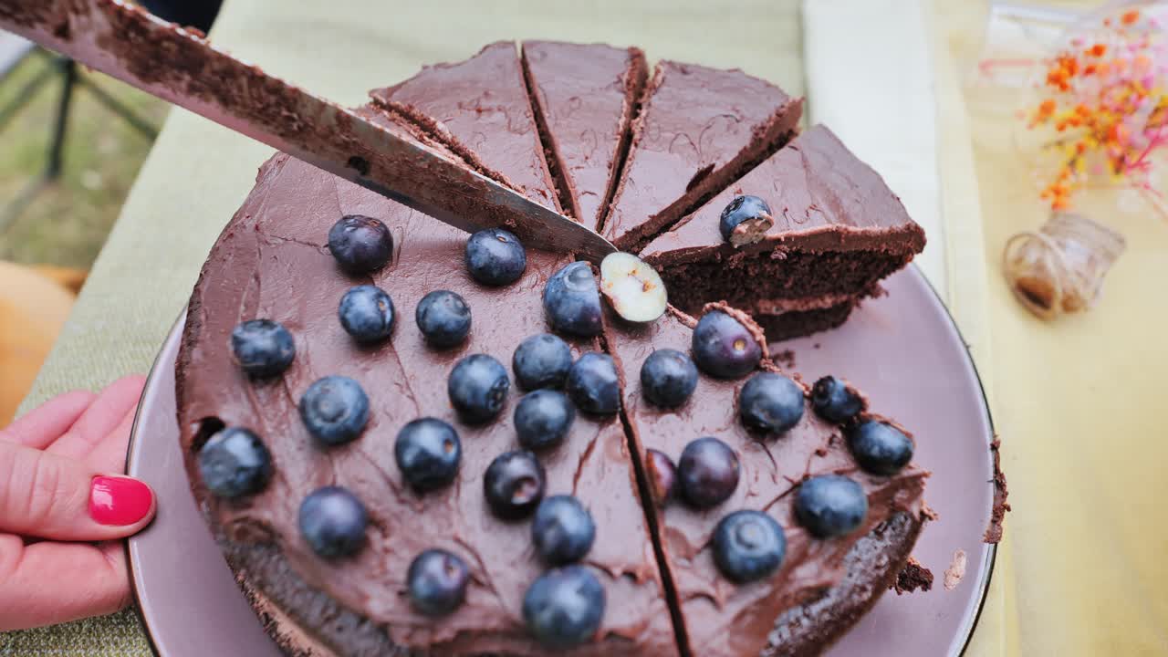 Close up of homemade blueberry cake sliced on rustic table during summer picnic