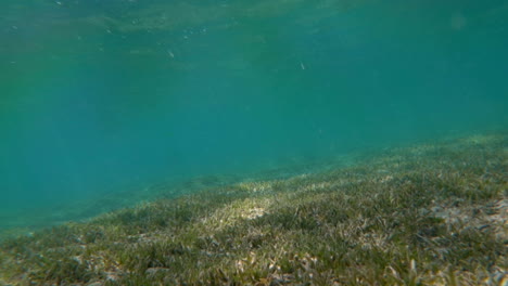 viajando bajo el agua en silencio