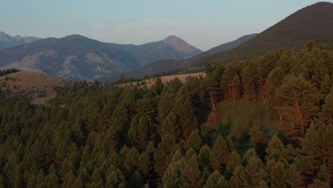 An-onward-moving-aerial-shot-of-trees-while-revealing-the-Paradise-Valley-of-the-Yellowstone-River-in-southwestern-Montana