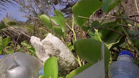 basura plástica entre plantas cielo fondo 4k asia, tailandia filmada con sony ax700
