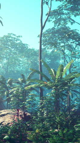 tropical rainforest scene