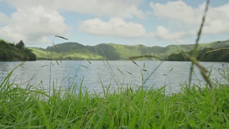 지상 뷰, canal das sete cidades, lagoa azul, 아조레스