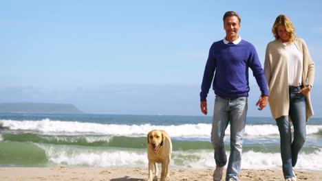 happy mature couple walking with dog on the beach