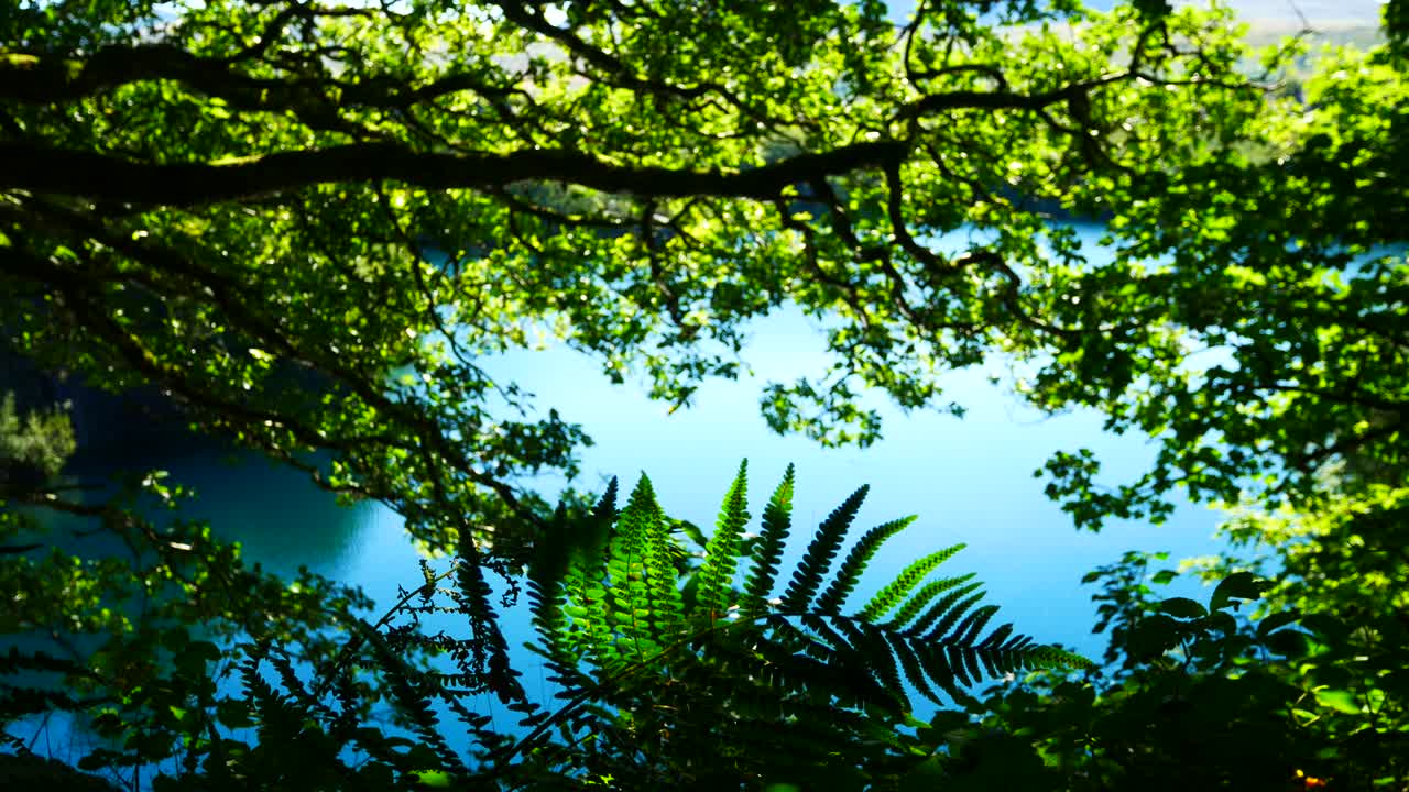brillante paraíso tropical idílico lago de la laguna azul a través del denso follaje del bosque de la jungla