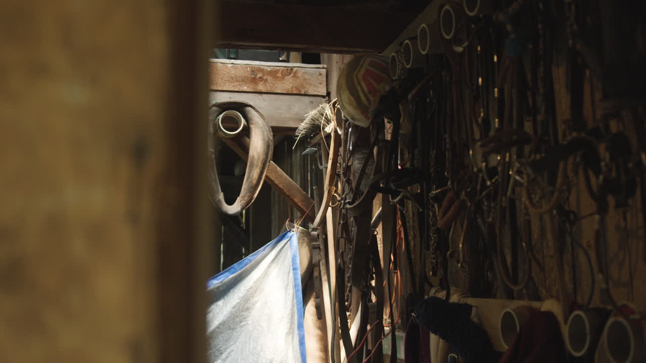 Equestrian tools and equipment hang on the wall of a rustic western horse barn