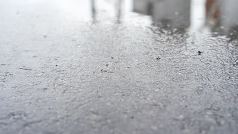 calle empapada de lluvia