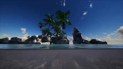 agua fangosa marrón y palmeras en la isla