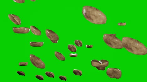 muchos cacahuetes cayendo sobre el fondo de chromakey.