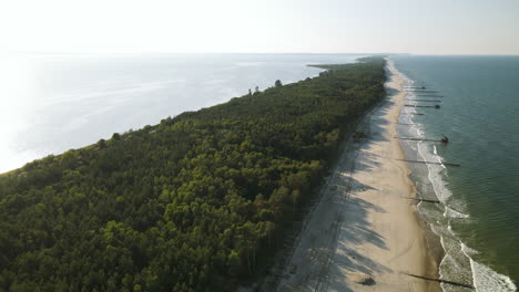 aerial side movement over the forest, white sand beach, and baltic sea in kuznica, pomeranian voivodeship , a district of the seaside town of jastarnia