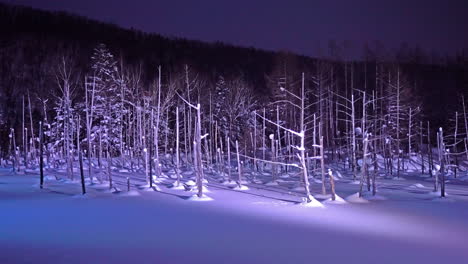 Biei-Blue-Pond-Im-Winter-Hokkaido-Japan