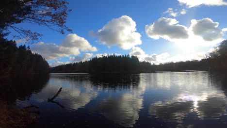 289 reflective lake in the forest during autumn