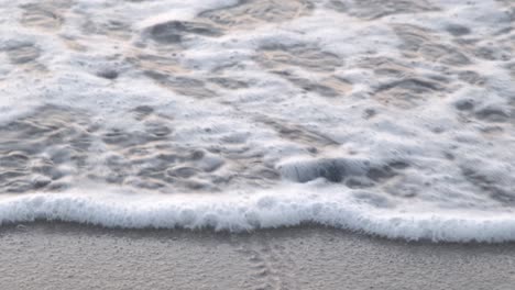 a baby sea turtle hatchling completes his journey to the sea and gets washed away in the waves