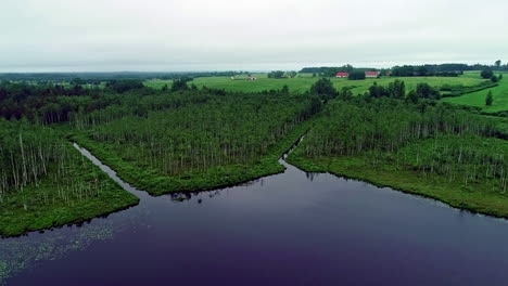 aerial forwarding shot of narrow rivers debouching into a lake surrounded by green vegetation on a cloudy day in the countryside