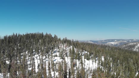 Toma-Aérea-Descendente-De-Montañas-Cubiertas-De-Nieve-Y-árboles-En-California-Sierra-Nevadas