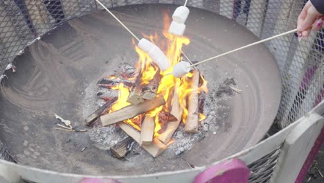 Große-Industriepfanne,-Brennendes-Holz,-Marshmallows-Am-Spieß-Rösten