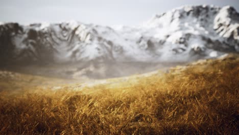 Trockenes-Gras-Und-Schneebedeckte-Berge-In-Alaska