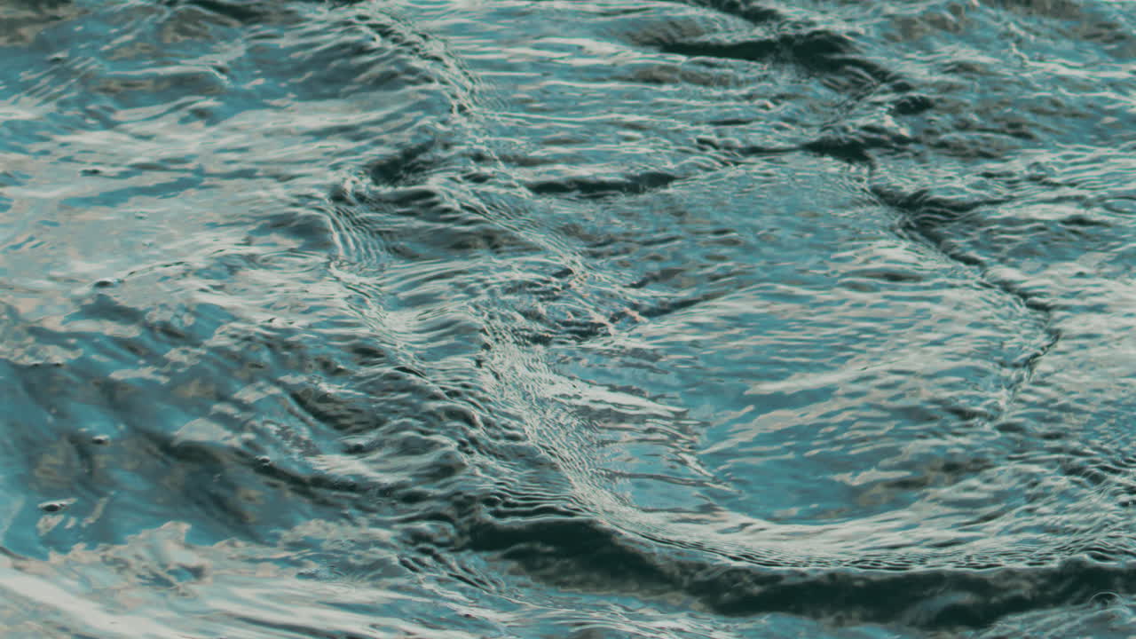 A cormorant swims and dives into the clear blue sea near the coast