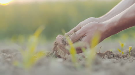 farmer pouring organic soil 12