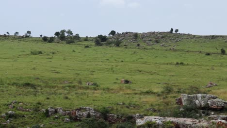 Toma-Panorámica-Del-Paisaje-Detrás-De-Las-Cataratas-De-Lisboa