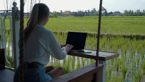 a young european girl in a blue dress remotely online working on laptop and looking into the screen on the backyard with green plants