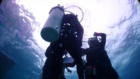 a group of divers pops up. the water surface is visible in the background